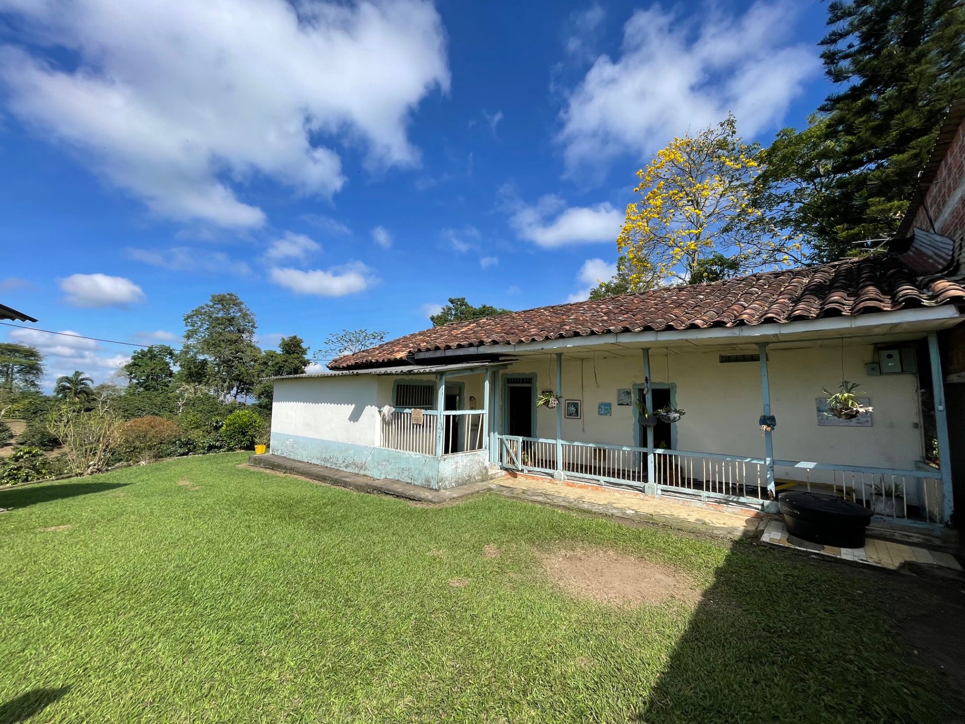 fincas-para-la-venta-quimbaya.jpg