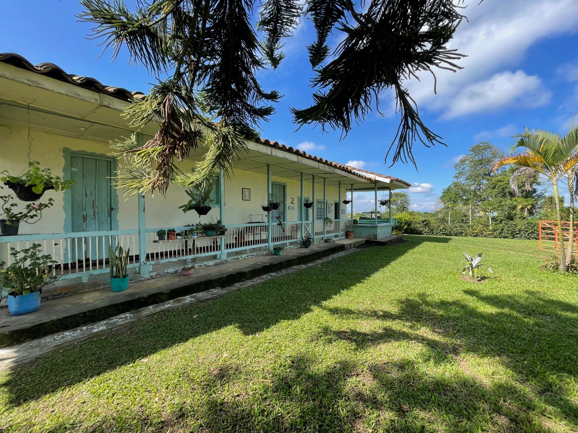 finca en venta quimbaya.jpg