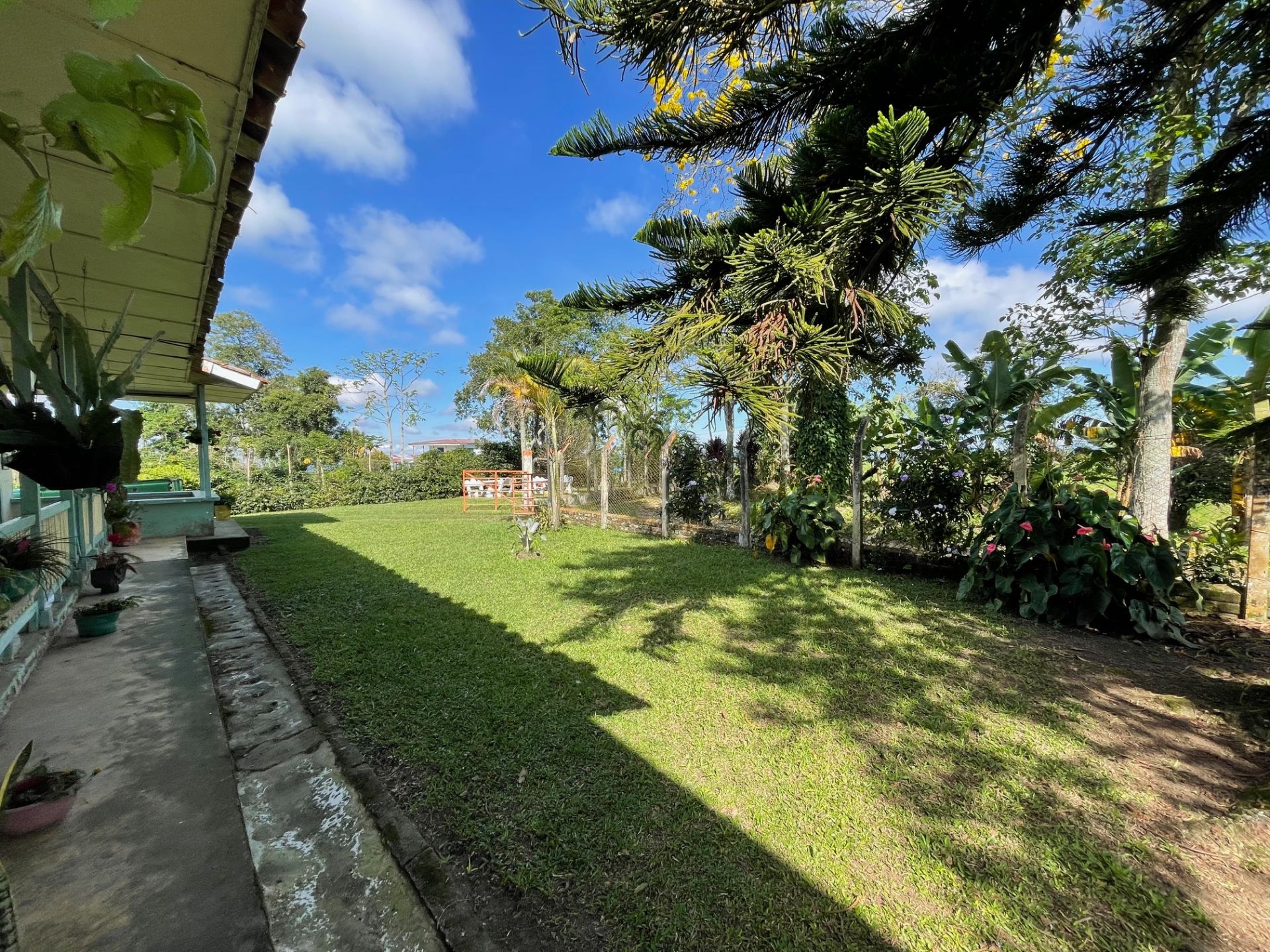 finca-en-venta-quimbaya.jpg