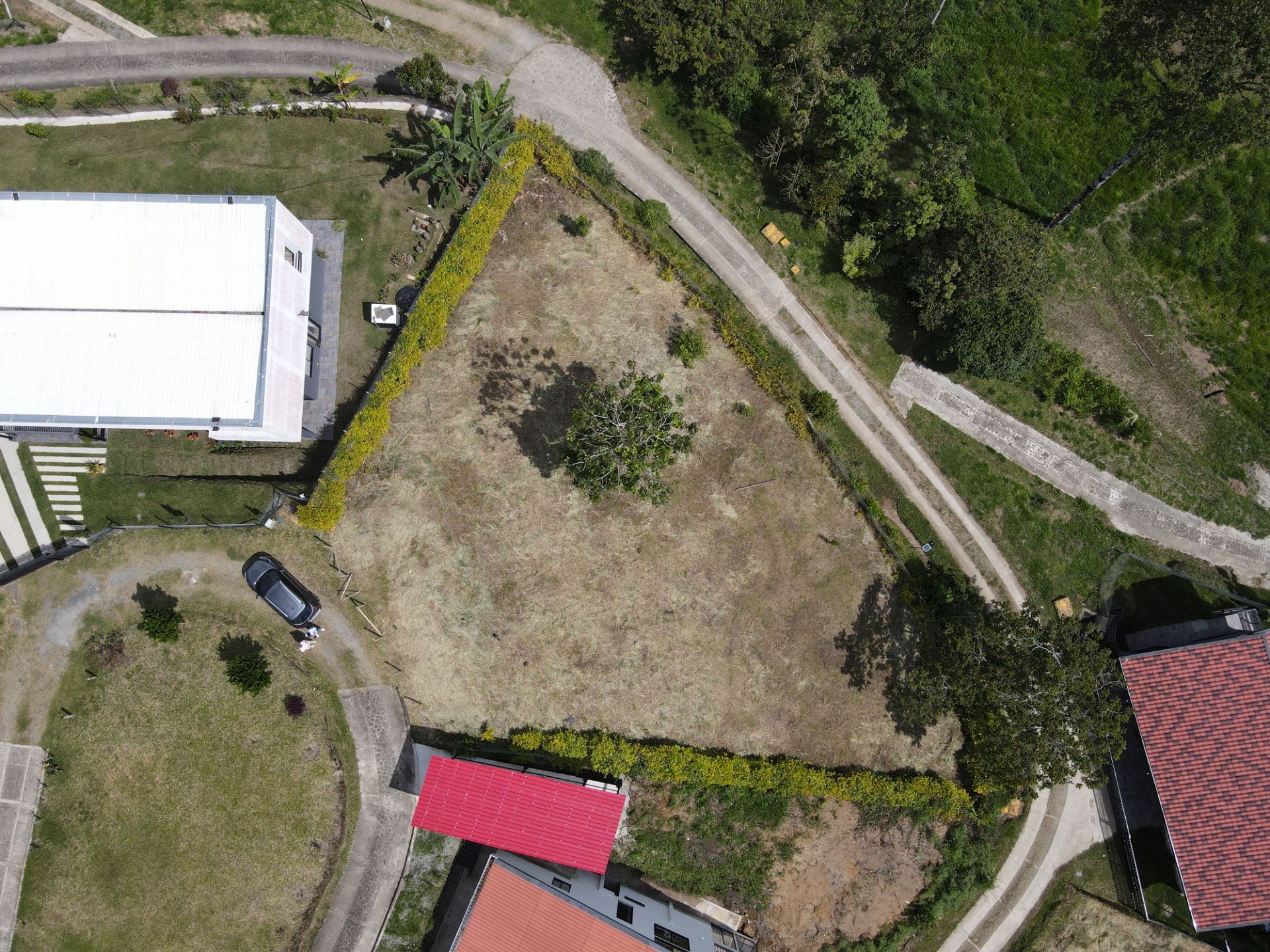 DJI_0338.JPG