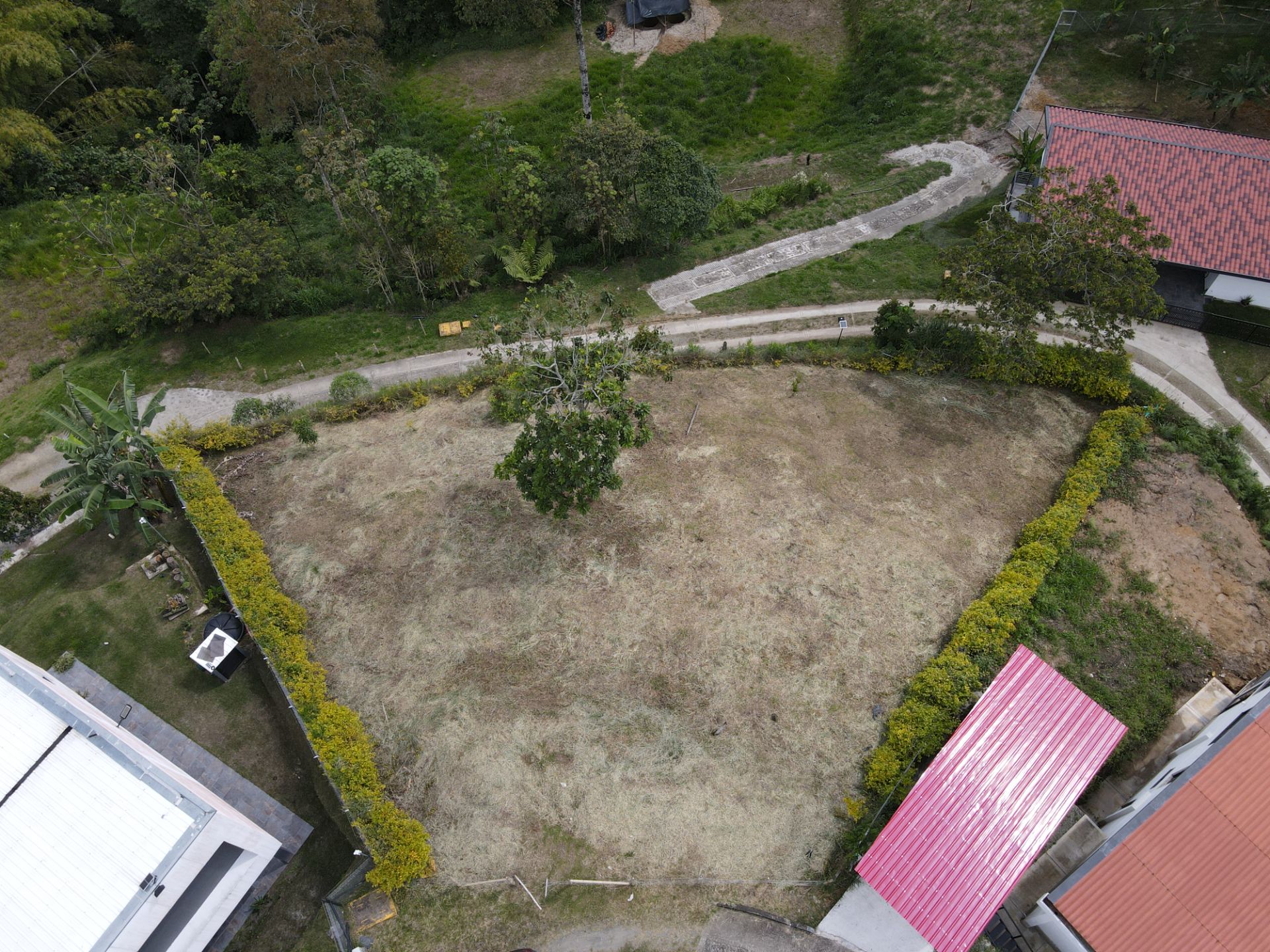 DJI_0325.JPG