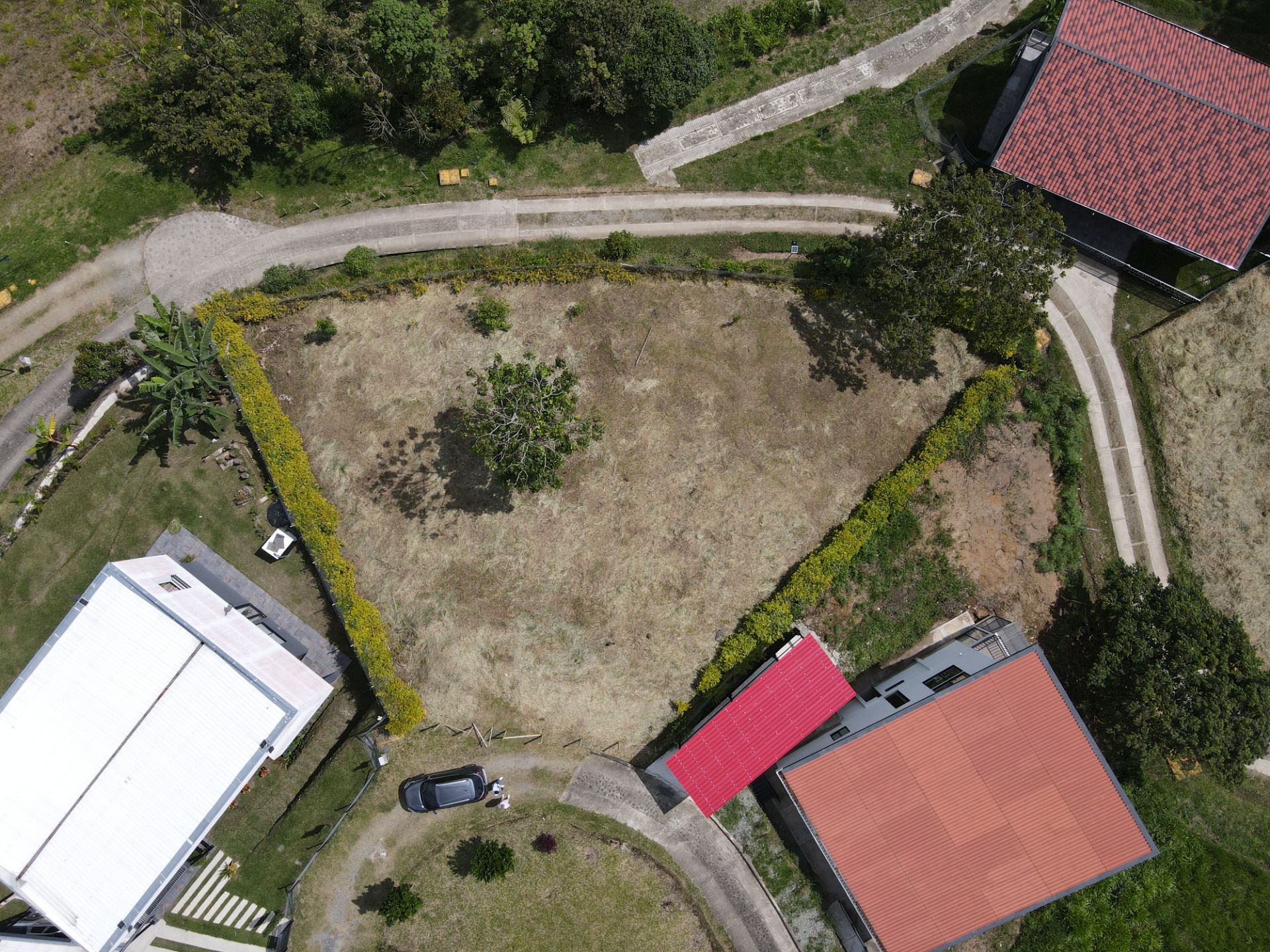 DJI_0337.JPG