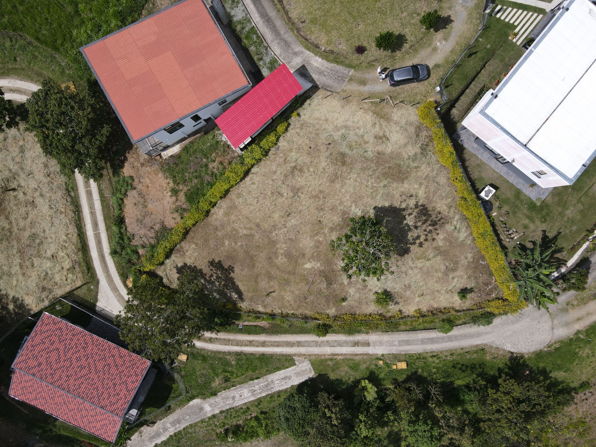 DJI_0335.JPG