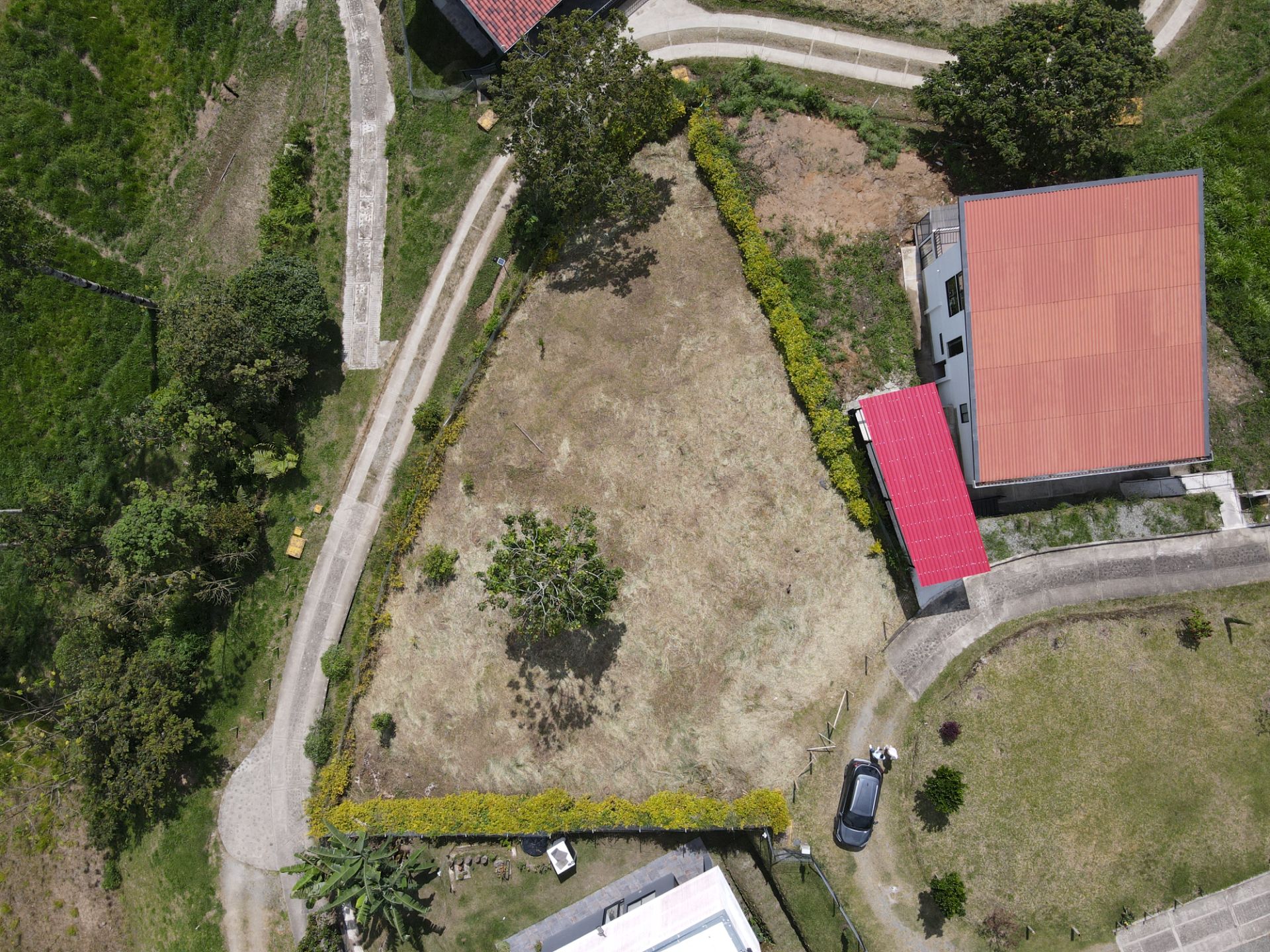 DJI_0336.JPG