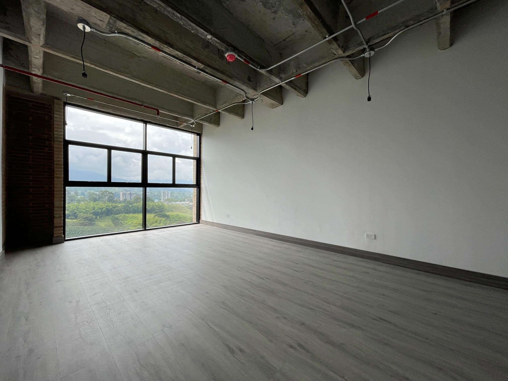 Oficinas-para-la-renta-armenia-norte.jpg