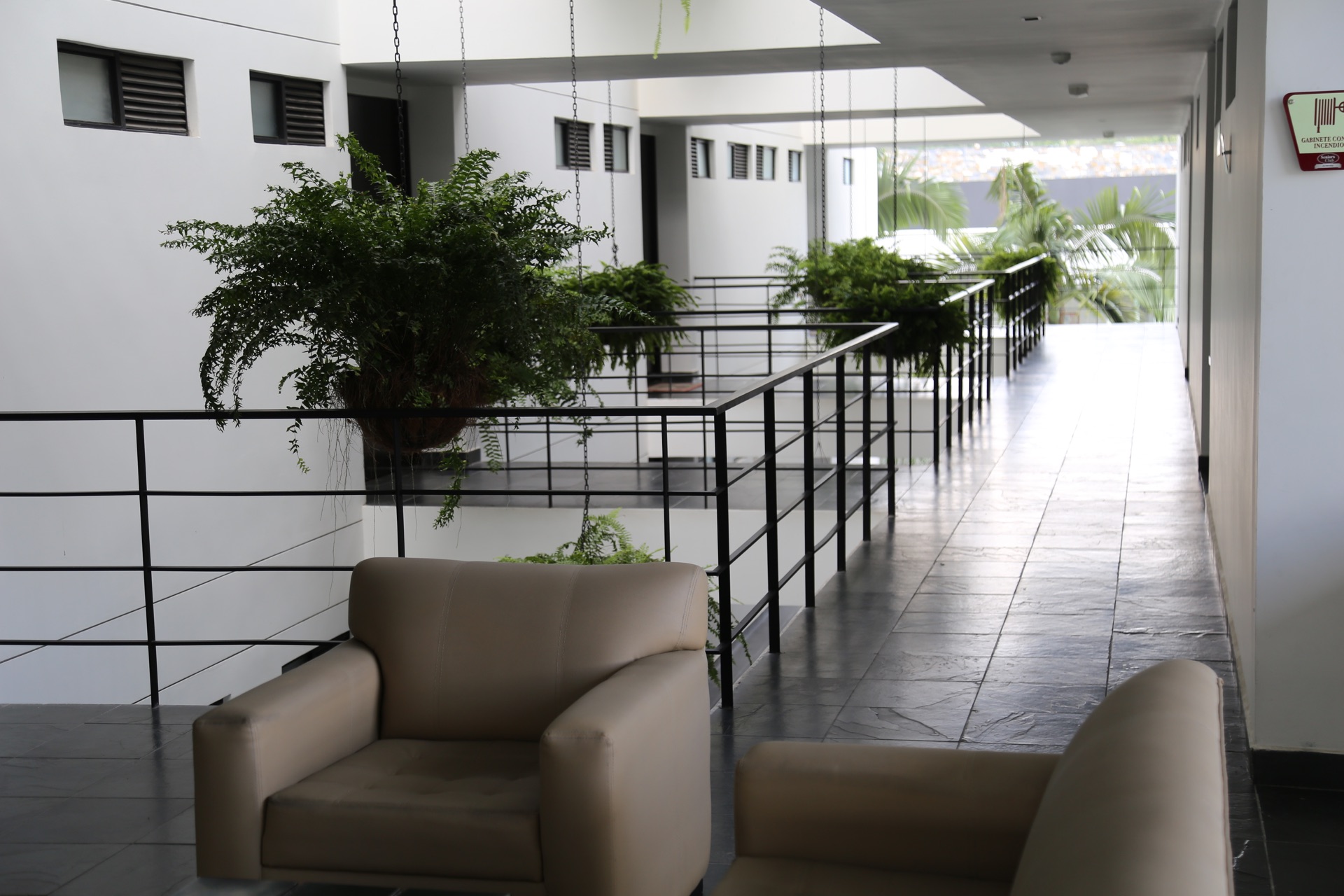 CORREDORES SENIORS CLUB ARMENIA QUINDIO.JPG