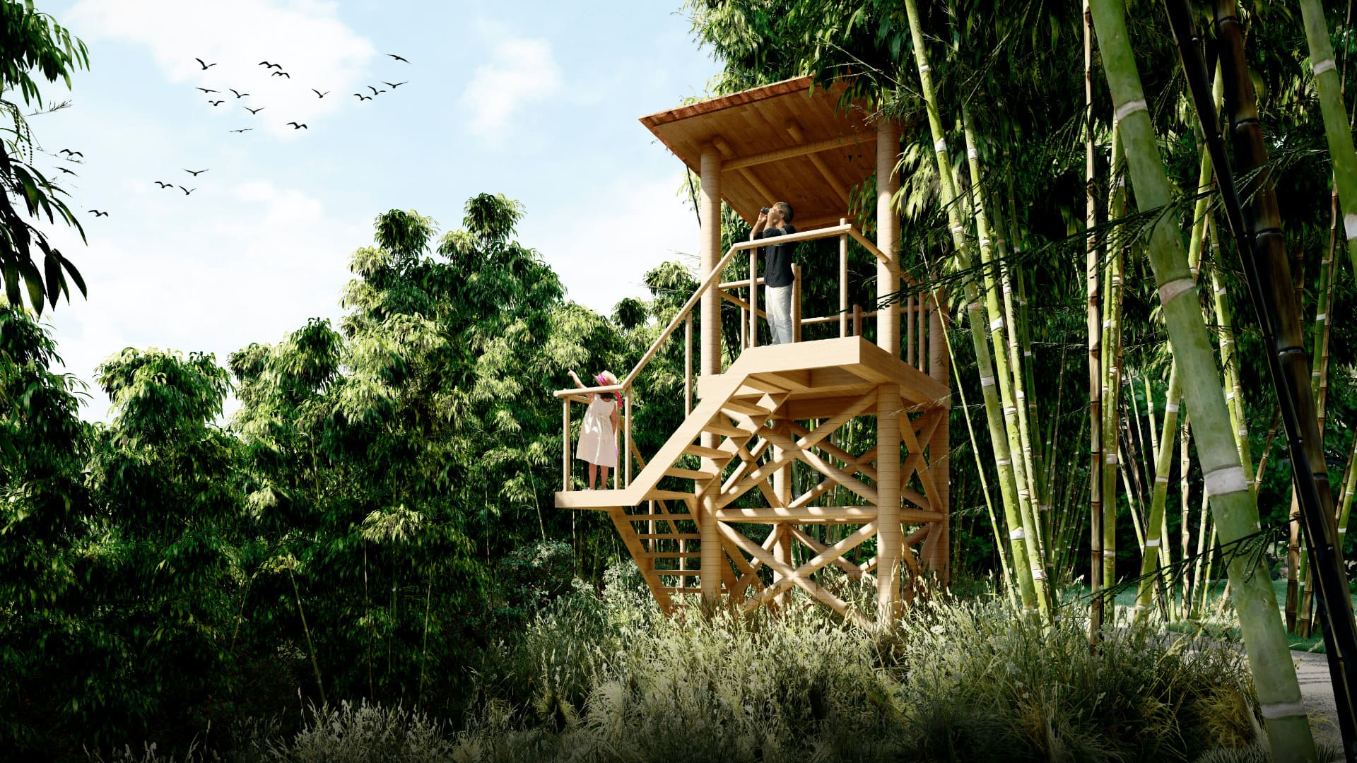 AVES FINCA EN VENTA EN EL QUINDIO.jpg
